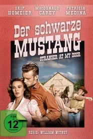 Poster Der schwarze Mustang