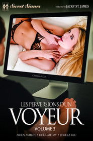 Les perversions d'un voyeur 3