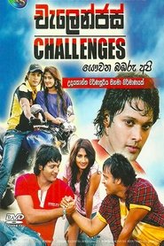 Poster Challenges 2011