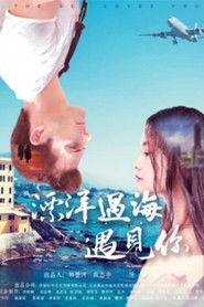 漂洋过海遇见你