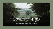 Penshurst in June