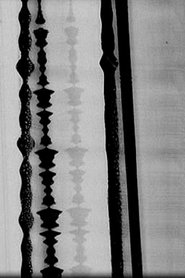 Poster Optical Sound 2007