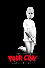 Film Poor Cow 1967 Streaming ITA Gratis