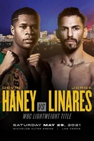 Poster Devin Haney vs. Jorge Linares