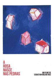 A Flower Blooms In The Remains (2025)