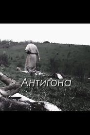 Poster Antigone 2015