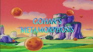 Gohan's Metamorphosis