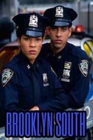 Poster Brooklyn South - Season 1 1998