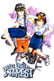 You're Under Arrest! постер