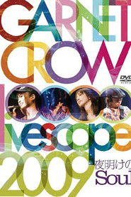 GARNET CROW livescope 2009~夜明けのSoul~