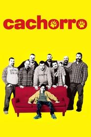 Voir Le gamin (2004) en streaming VF complet Full HD Voir Le gamin (2004) en streaming VF complet Full HD