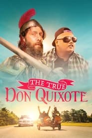 The True Don Quixote постер