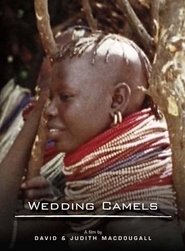 Poster The Wedding Camels 1980