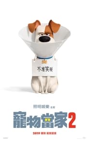 爱宠大机密2 [The Secret Life of Pets 2]