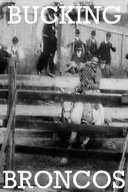 Poster Bucking Broncos 1904