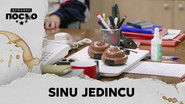 2534 Sinu jedincu