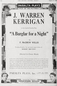 A Burglar for a Night
