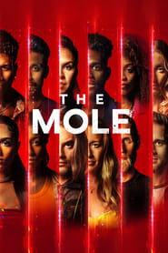 TV Shows Like  The Mole