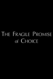 Poster The Fragile Promise of Choice 1996