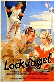 Poster Lockvogel