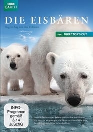Polar Bears: Spy on the Ice постер