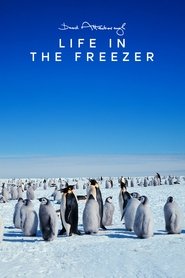 Poster Life in the Freezer 1993