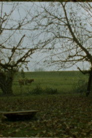 Landscape as Landscape - 22