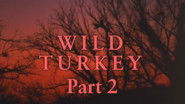 Wild Turkey - Part 2