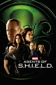 Marvel's Agents of S.H.I.E.L.D. Season 4 11