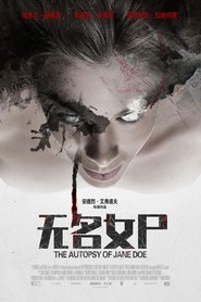 无名女尸 (2016)