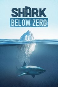 Shark Below Zero (2023) Shark Below Zero (2023)
