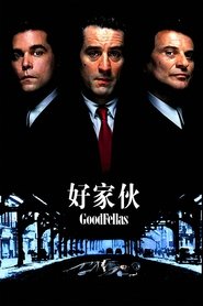 好家伙 (1990)