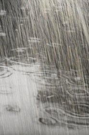 Poster Rain: Then and Now 2019