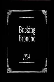 Poster Bucking Broncho