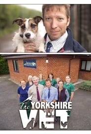 Ветеринар із Йоркшира постер