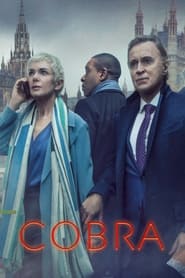 COBRA – A válságstáb