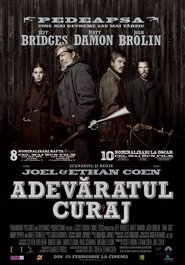 Adevăratul curaj online subtitrat HD