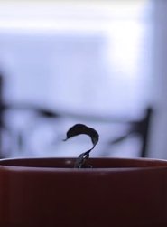 Poster Food Journal 2020