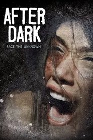 Poster After Dark 2013