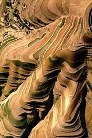 MongoDB.Entities.FuzzyString