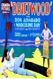 Driftwood (1928)