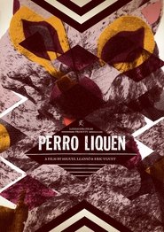 Poster Perro Liquen 2012