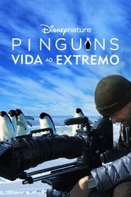 Image Pinguins: Vida ao Extremo