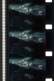 Rivers of Darkness / Rivers of Light