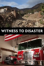 Witness to Disaster постер
