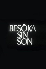 Poster Visiting One's Son 1967