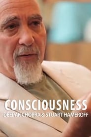 Consciousness:  Stuart Hameroff Interview