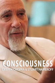 Consciousness:  Stuart Hameroff Interview