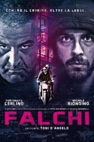 Poster Falchi 2017