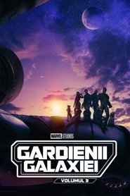 Guardians of the Galaxy Vol. 3 (2023) Online Subtitrat